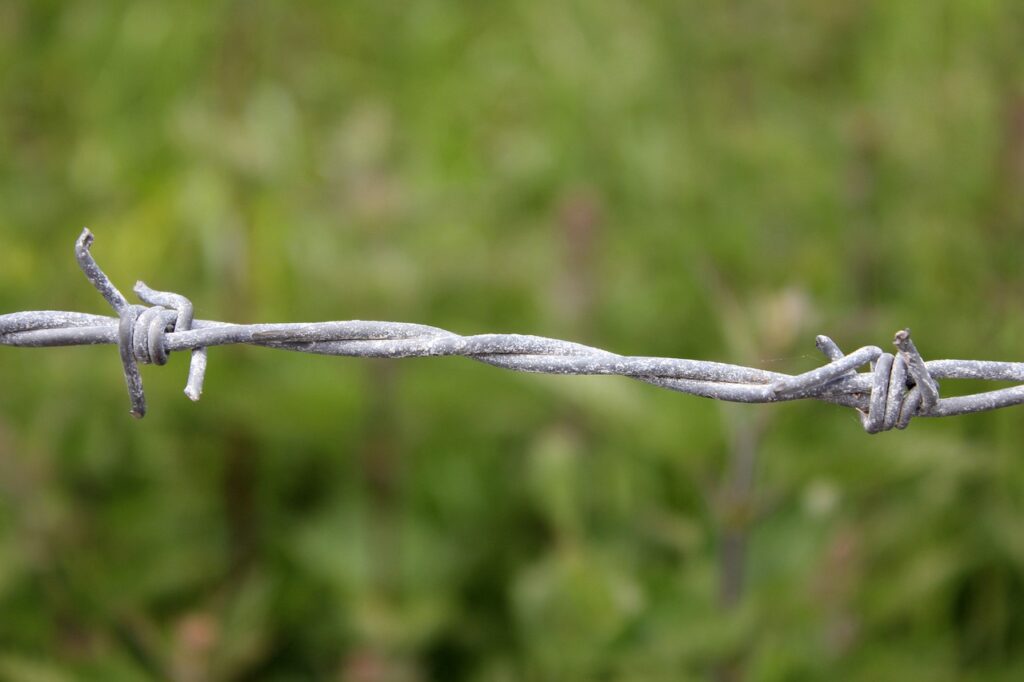 barbed wire, fence, demarcation, barrier, boundary, security, protect, limit, thorn, spikes, guard, secure, defense, private, trespass, twisted, deterrent, barricade, privacy, restrain, containment